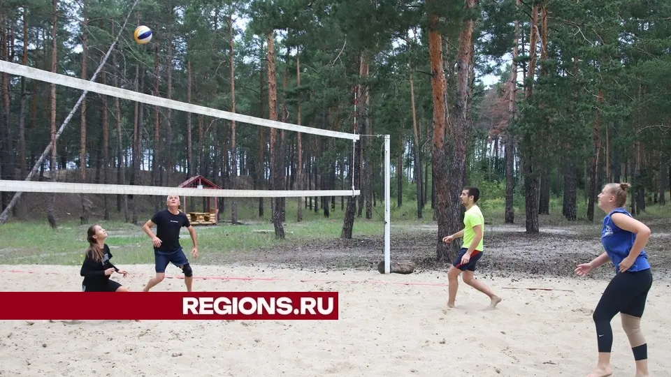 Фото: REGIONS/Александр Дрожжин