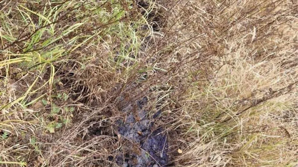 Фото Минэкологии