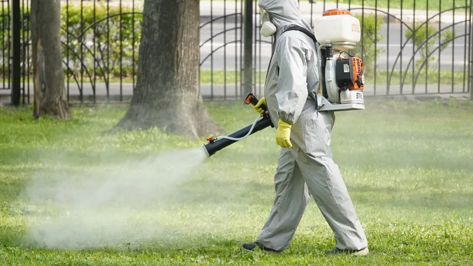 Фото: МедиаБанк Подмосковья/Алена Притула