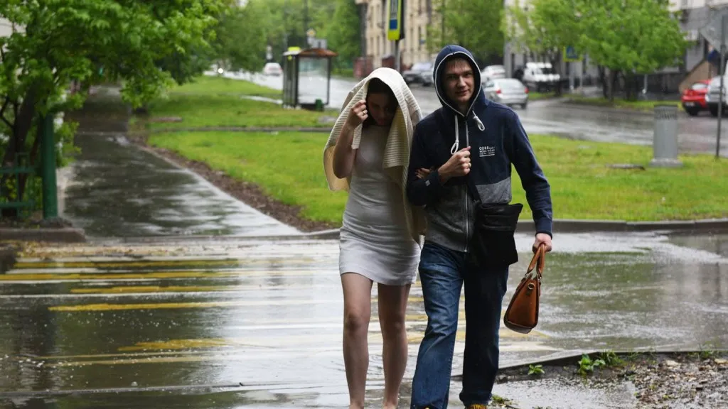 Фото: медиасток.рф