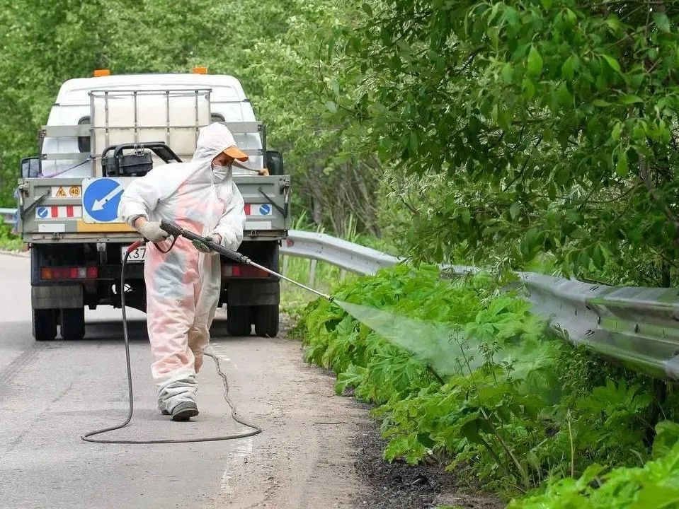 Фото: Минтранс Подмосковья