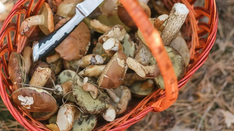 Фото: freepik.com