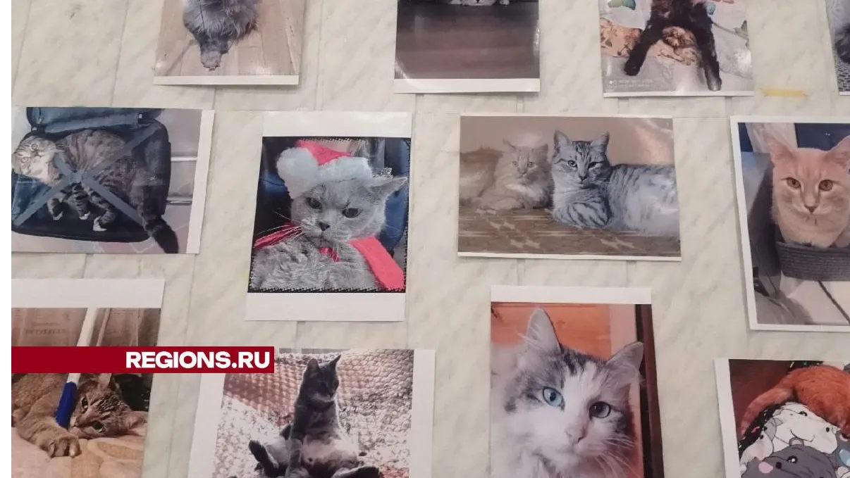 Фото: Юлия Смагринская