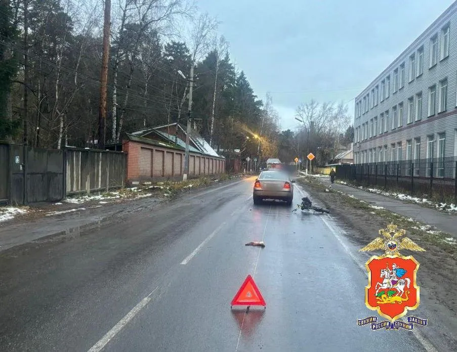прокуратура Московской области