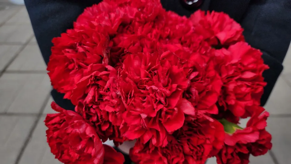 Фото: МедиаБанк Подмосковья/Яна Шаливская