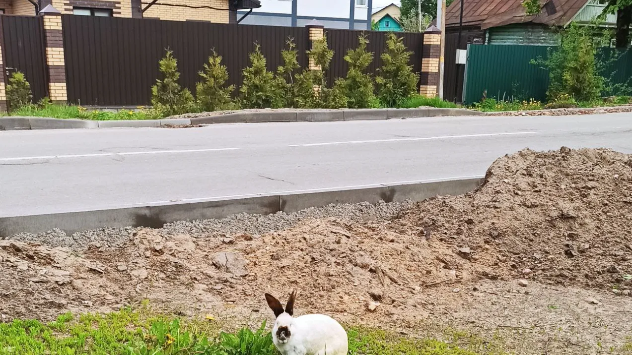 Фото предоставлено очевидцем