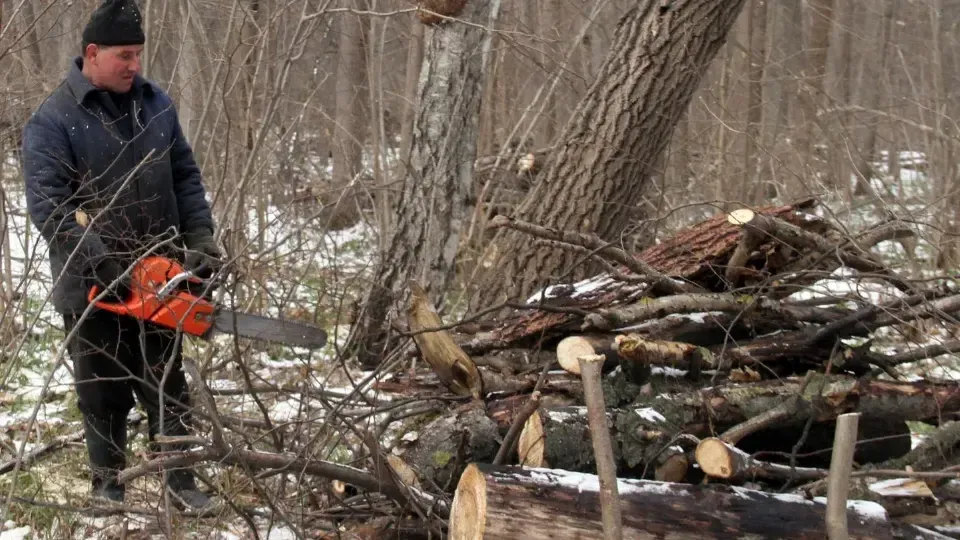 медиасток.рф