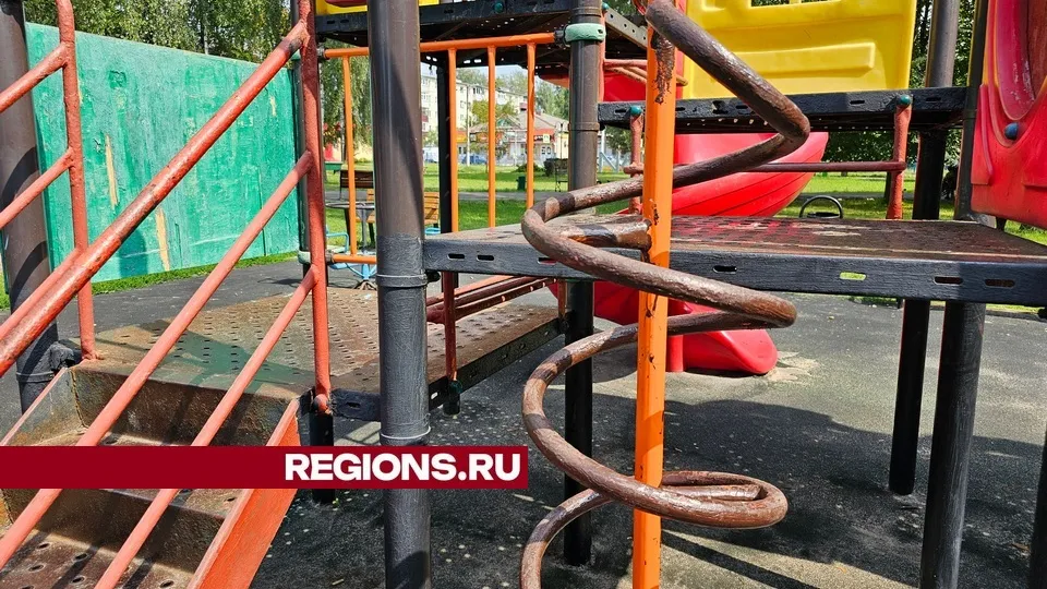 Фото: REGIONS/Александр Дрожжин