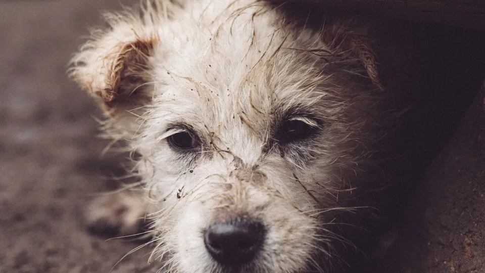 Фото: freepik.com