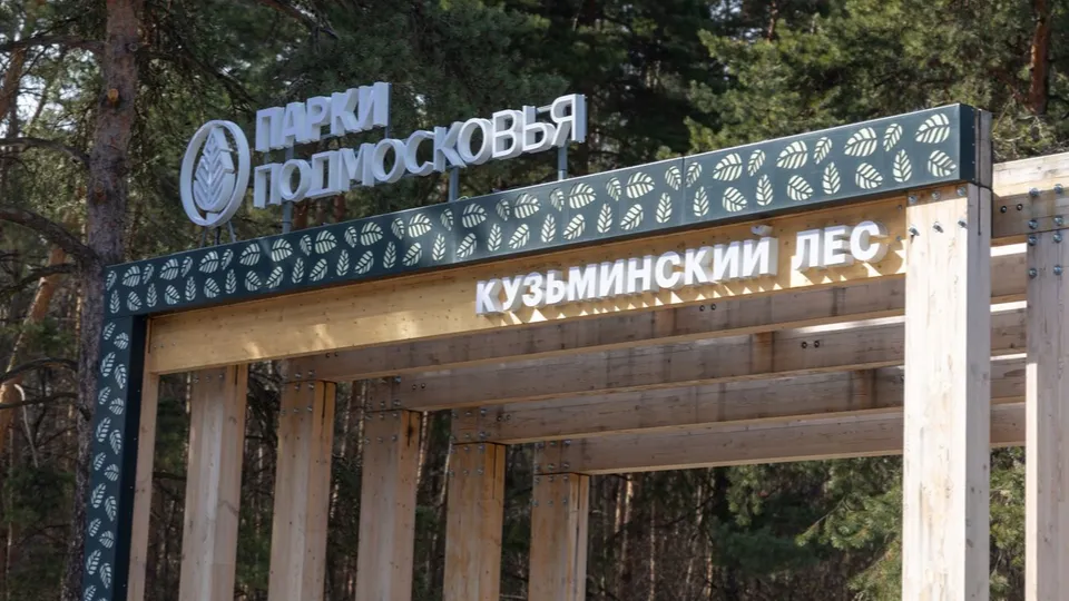 Фото: медиасток.рф