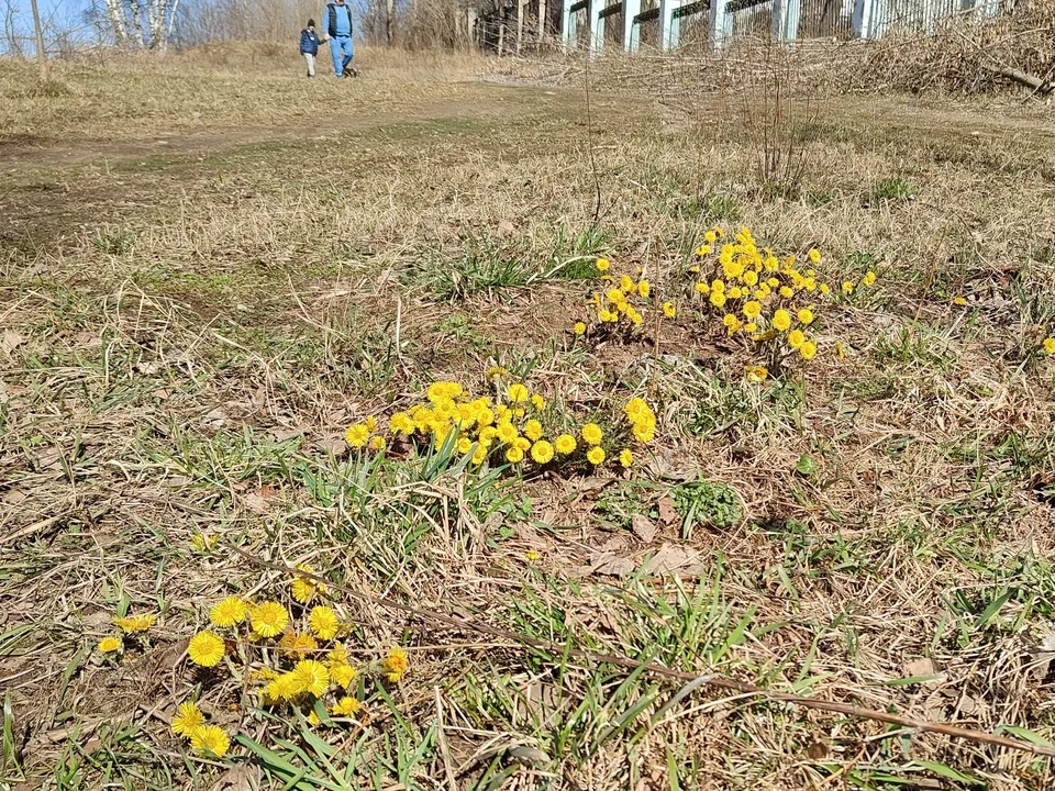 Фото: Иван Федулов