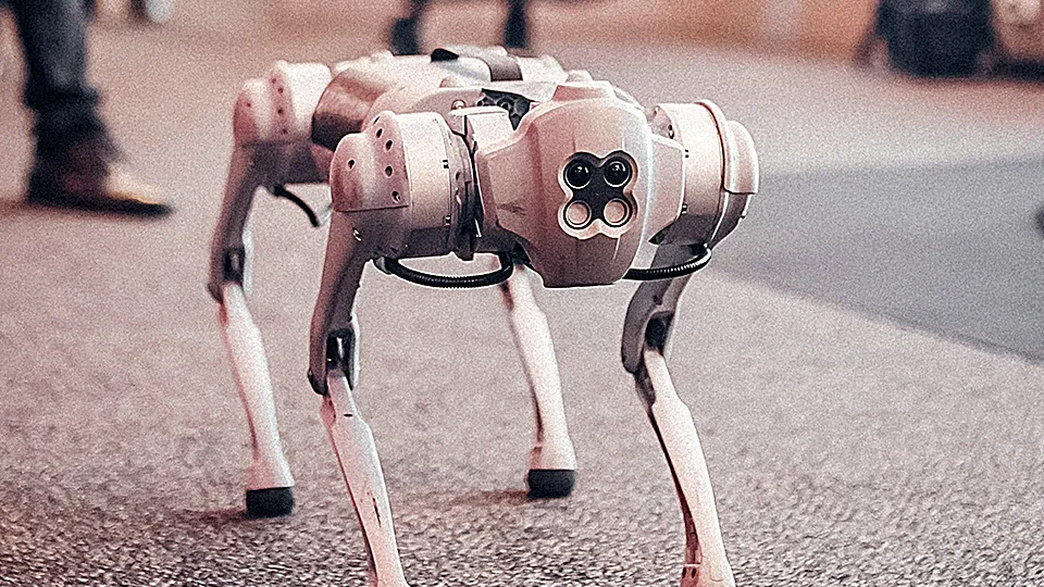 Фото: pxhere.com