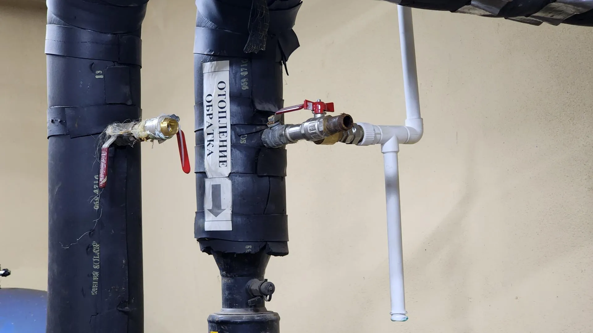 REGIONS/Евгений Рой