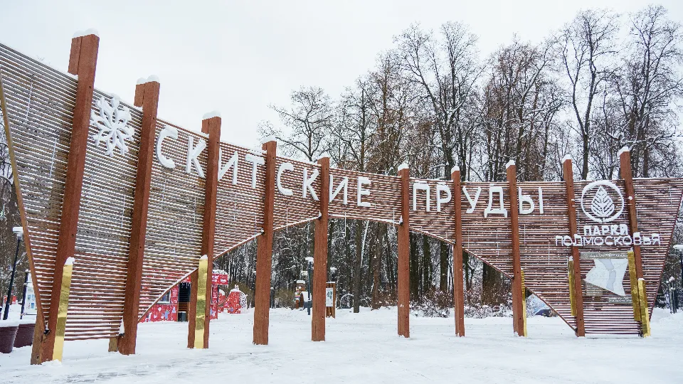 Фото: медиасток.рф