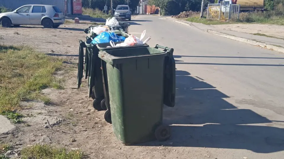 Фото: пресс-служба Администрации городского округа Мытищи