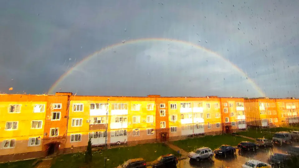 Фото: t.me/myr_vita