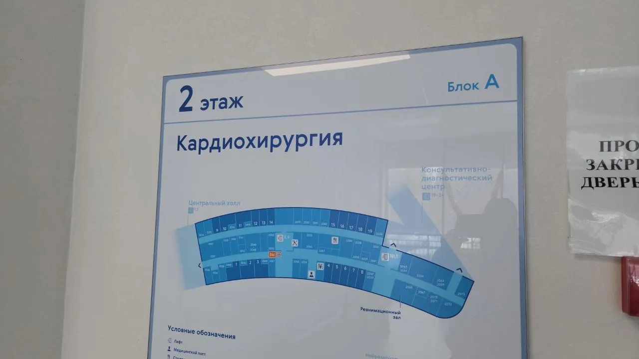 REGIONS/Кристина Ларина