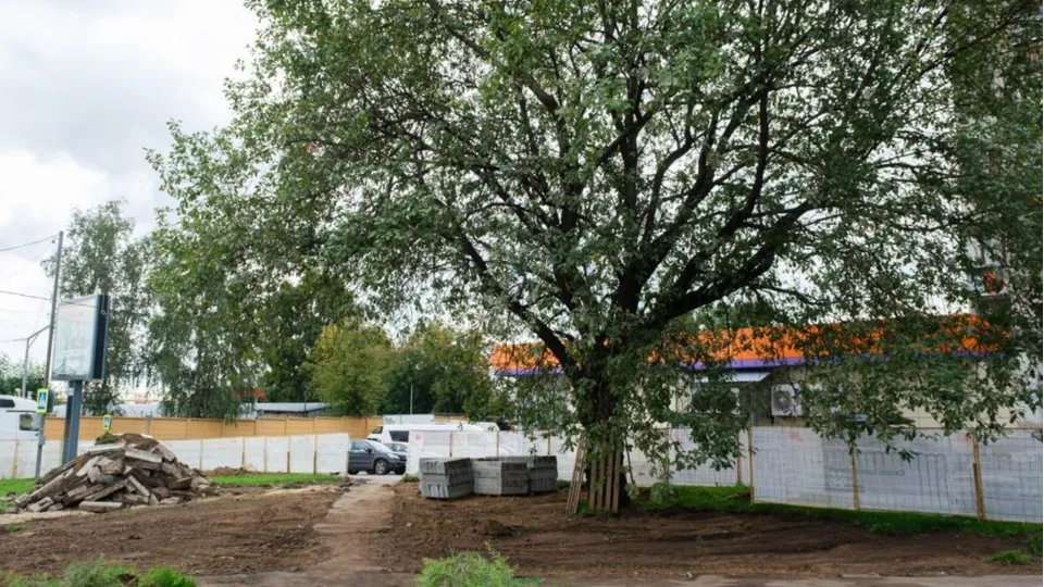 Фото: пресс-служба администрации г.о. Лыткарино