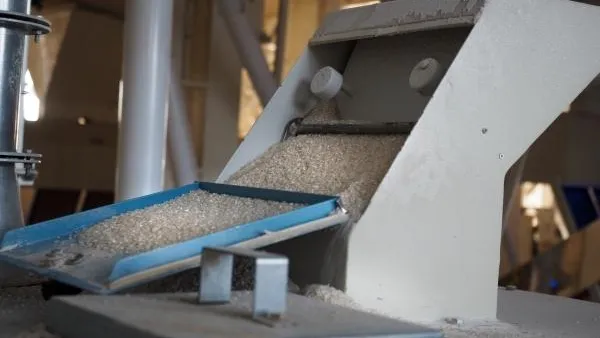 Создание новых перерабатывающих кластеров будут поддерживать в МО