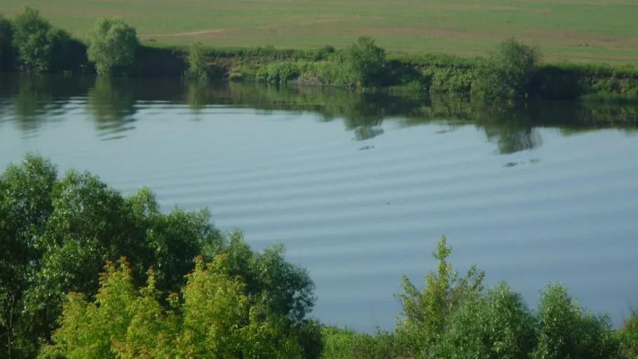 Фото: Яндекс.Карты