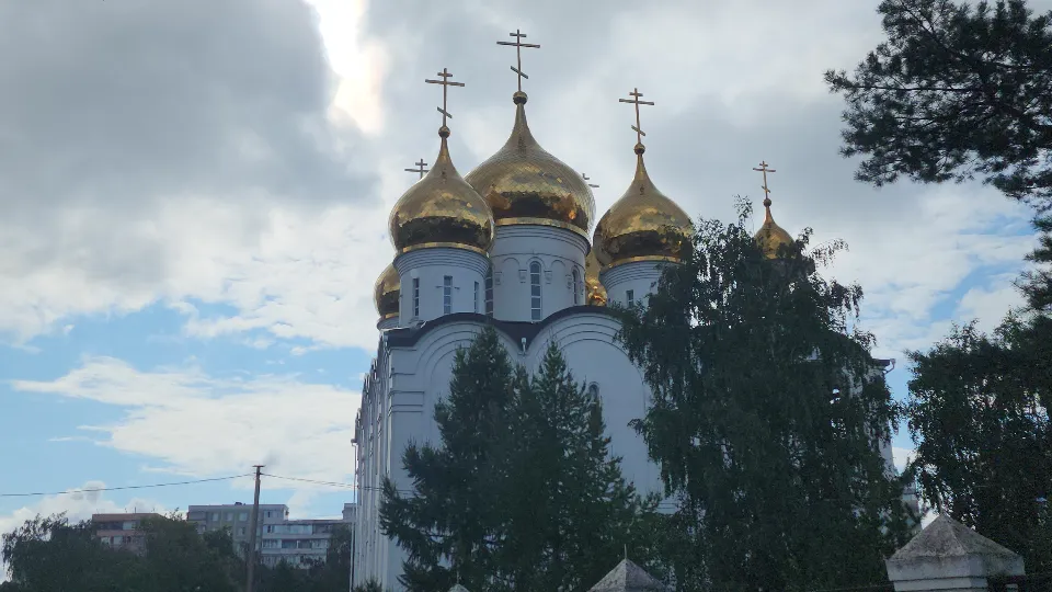 Фото: МедиаБанк Подмосковья/Дмитрий Павлов