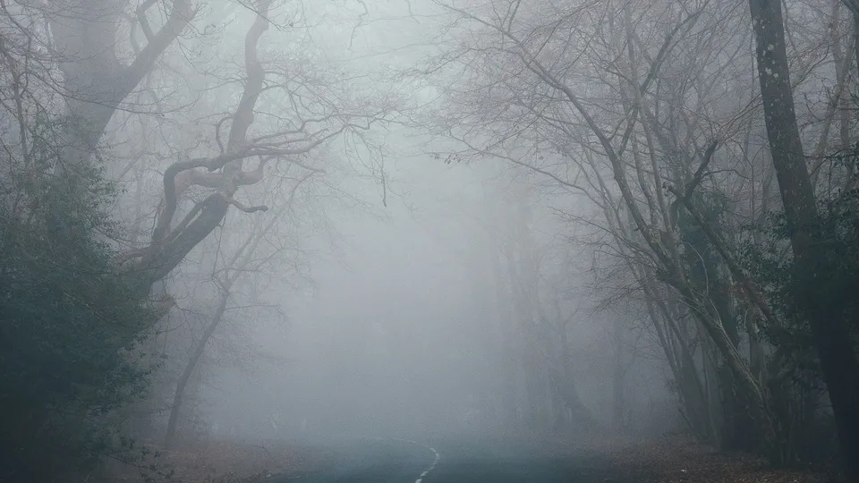 Фото: unsplash.com