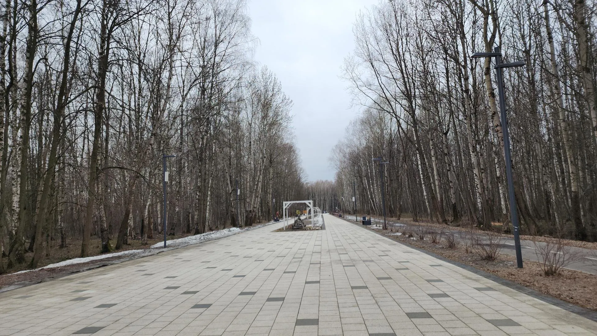 Фото: Нина Басистая