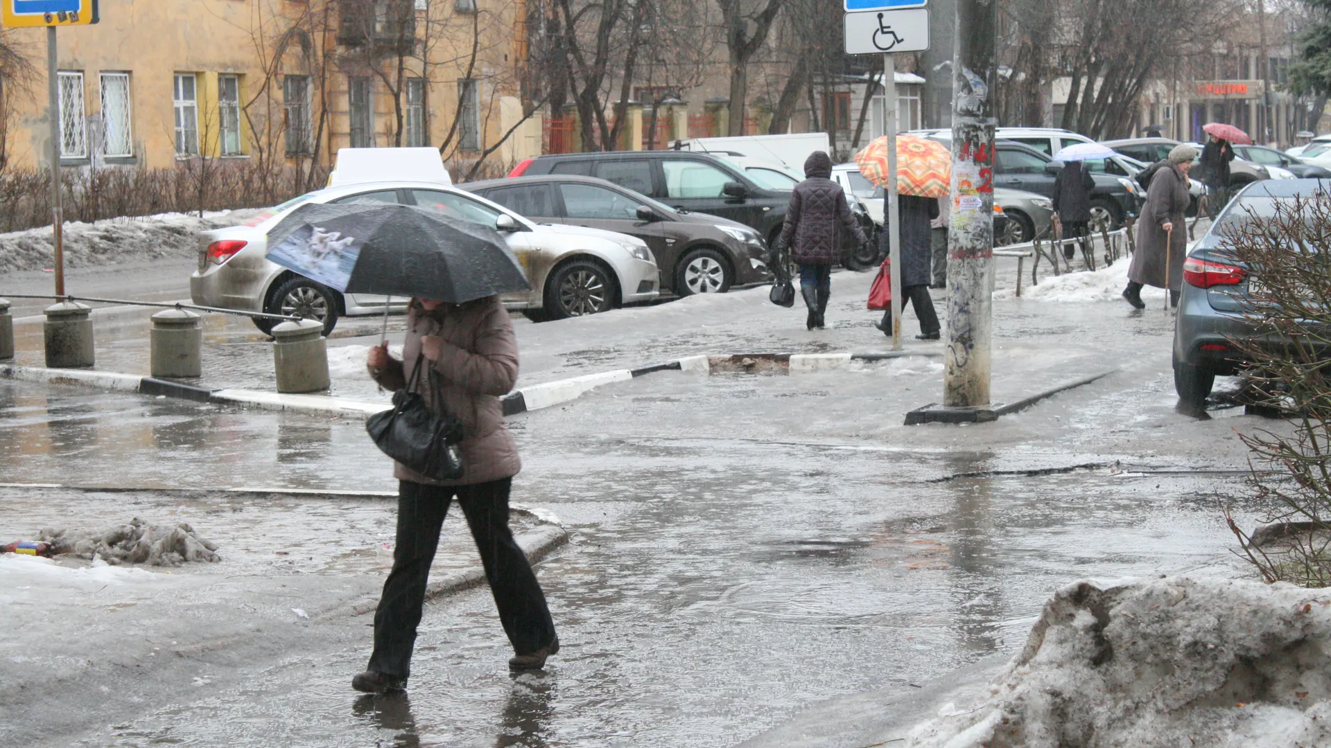 Фото: Евгений Лавряшин