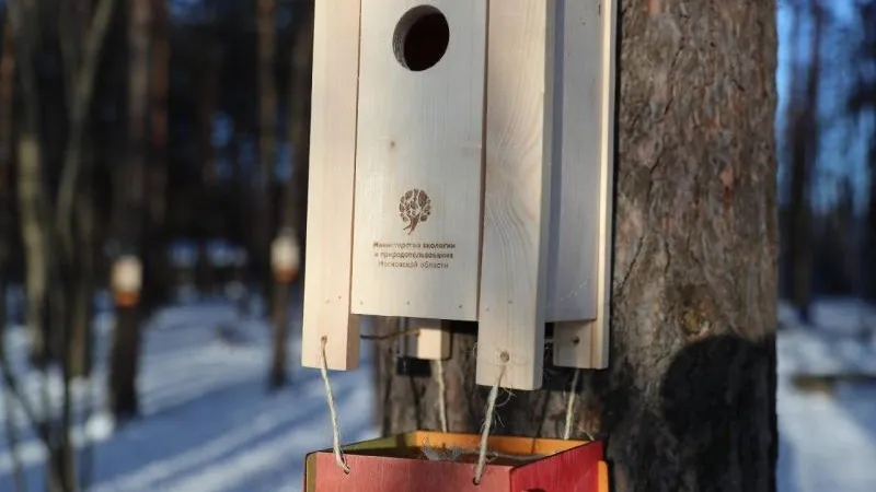 Областная акция «Покорми птиц» стартовала в Одинцовском районе