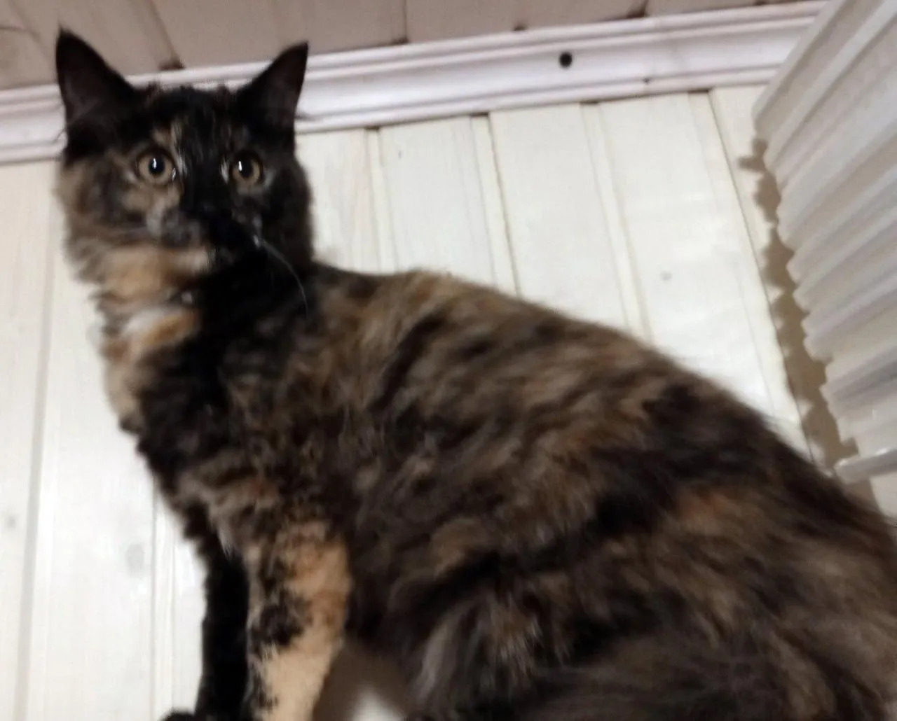 Фото: Социальные сети