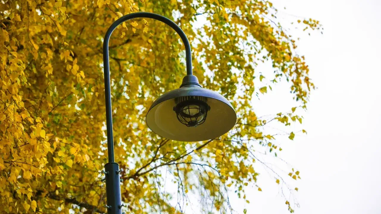 Фото: Министерство благоустройства МО