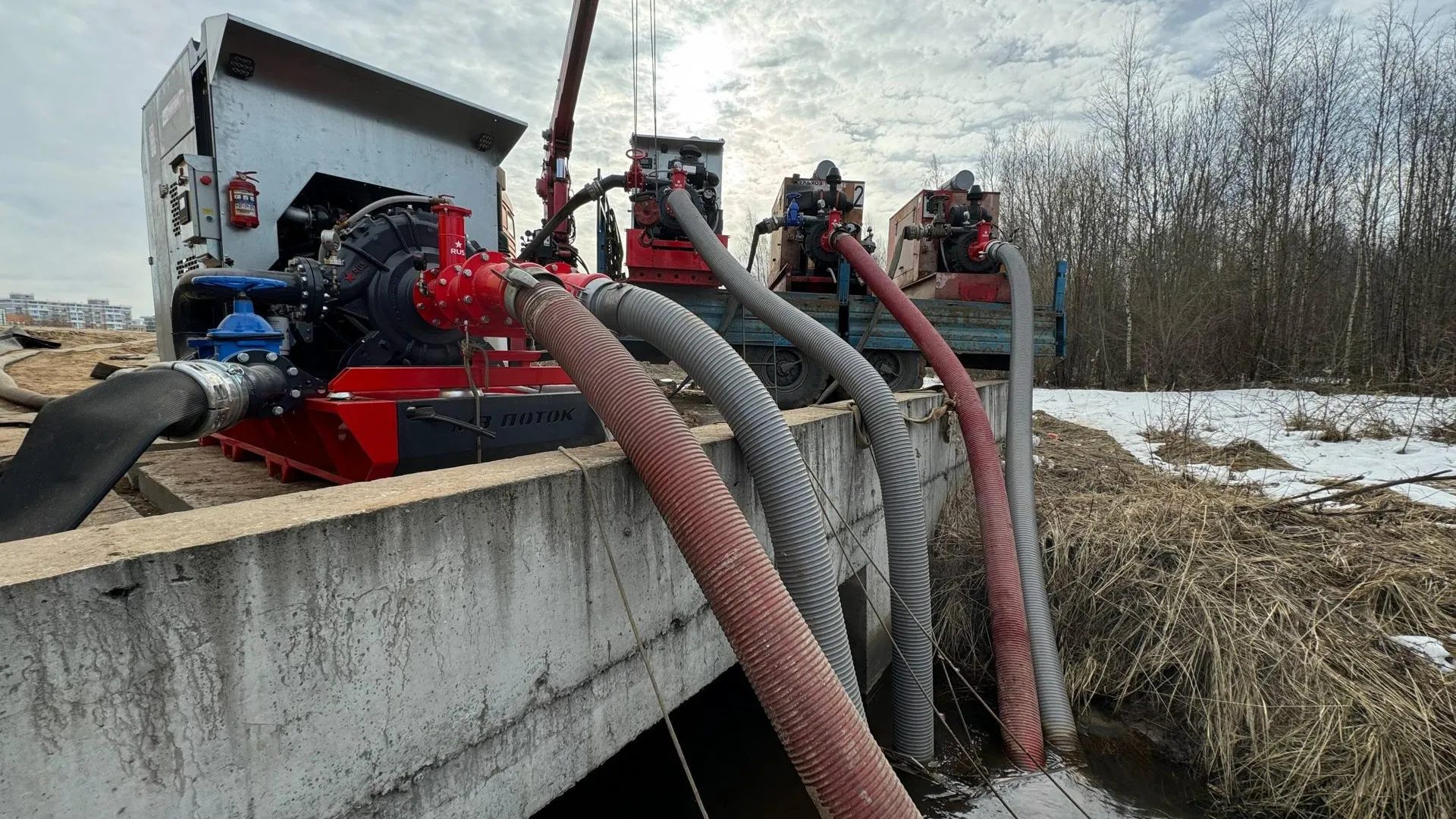 администрация городского округа Дубна