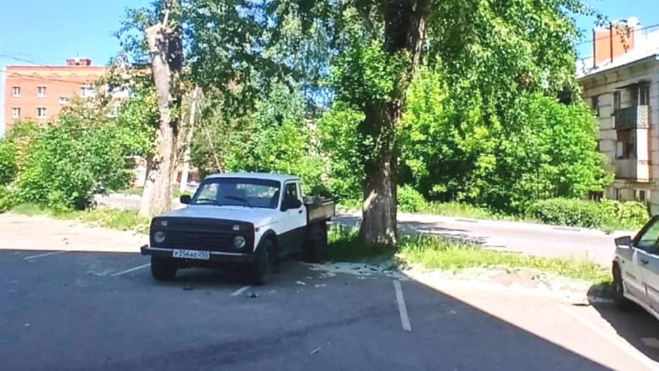 Фото: пресс-служба администрации г.о. Кашира