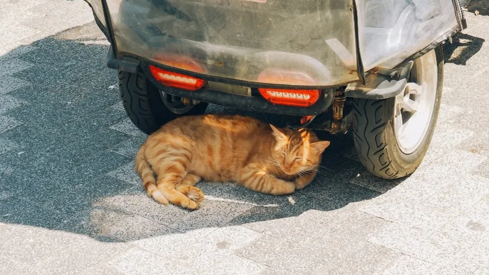 Фото: unsplash.com