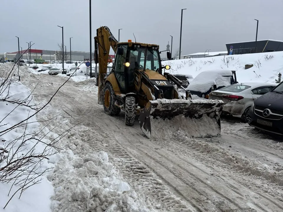 Фото: пресс-служба администрации г. о. Красногорск