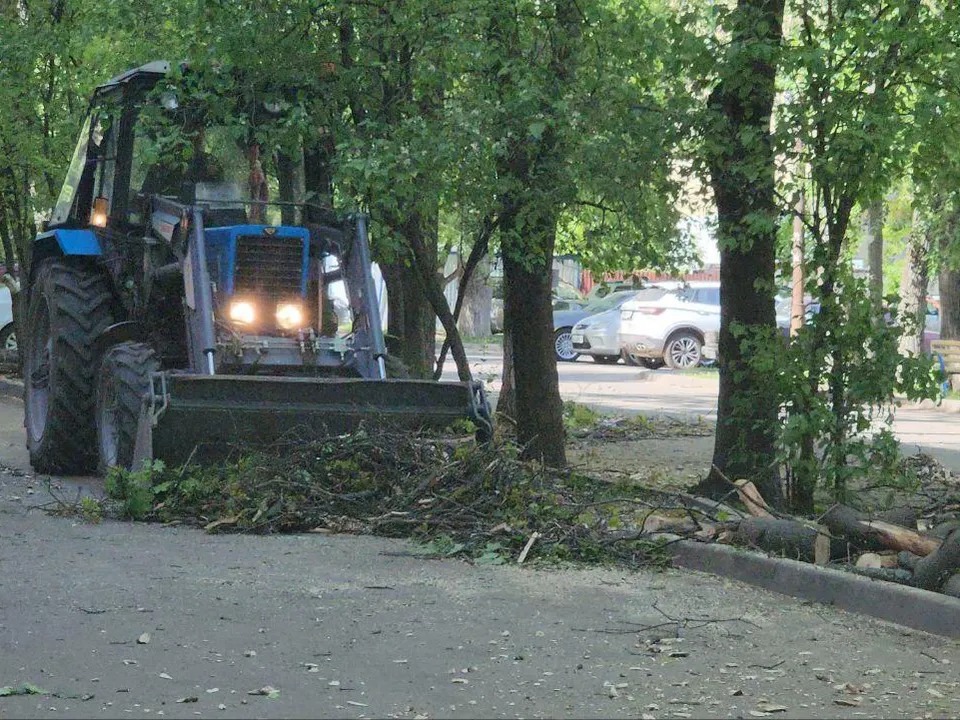 Фото: Наталья Лымарь