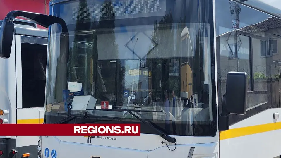 Фото: Дмитрий Беденко