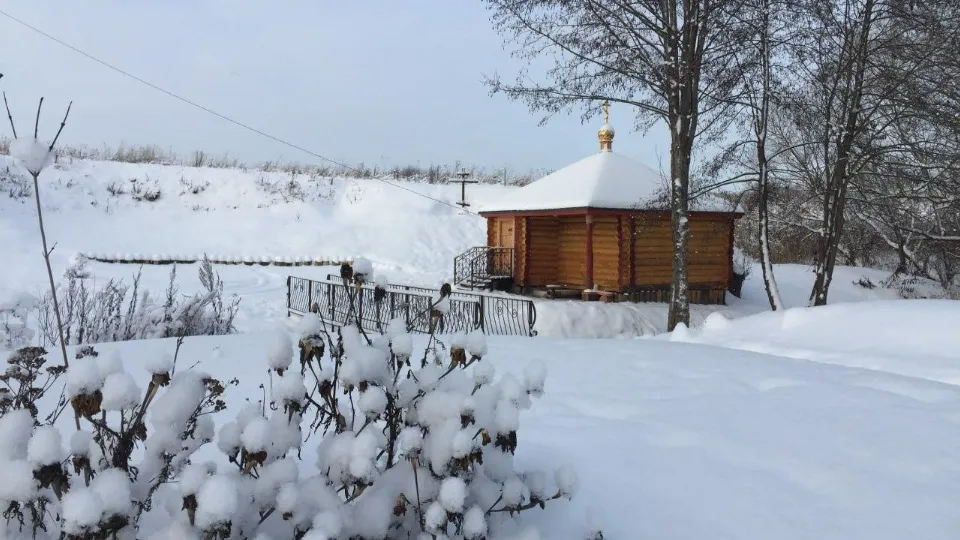 Фото: Луховицкая больница/Ольга Иосипенко
