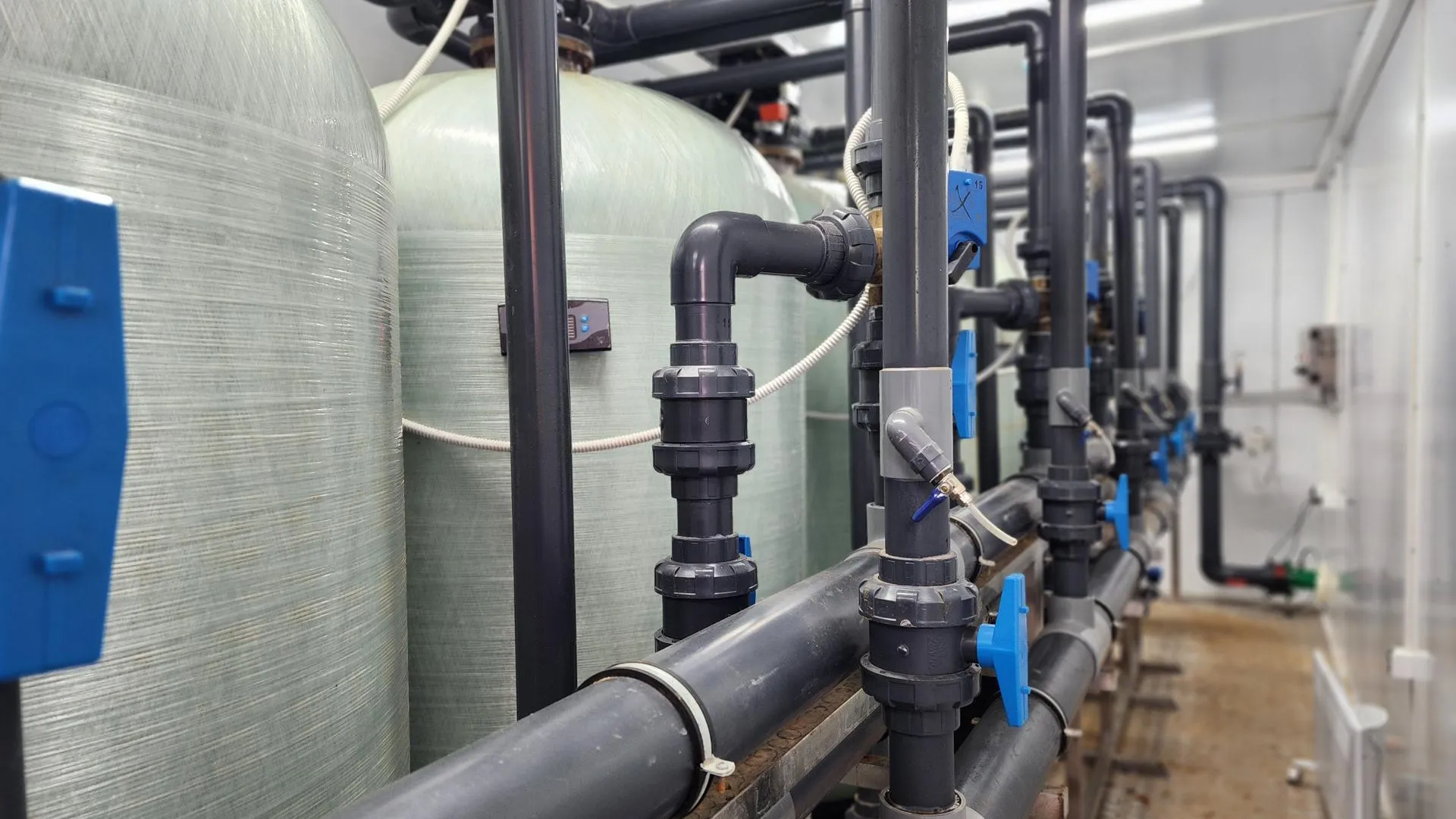 Фото: Светлана Плотникова