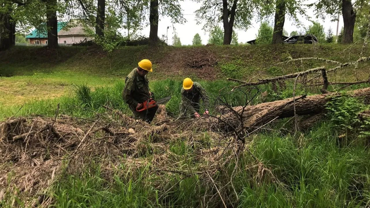 Комитет лесного хозяйства МО