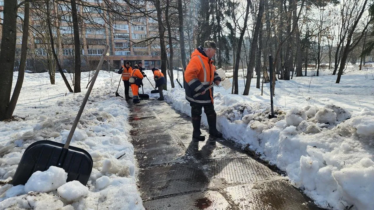 REGIONS/Анна Мороз