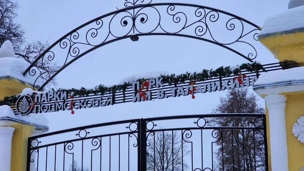 REGIONS/Мария Шигорева