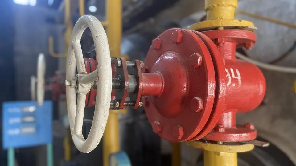 Фото: Юлия Лысихина