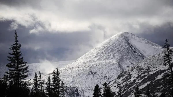 В Якутии пересчитали все деревья с помощью дронов