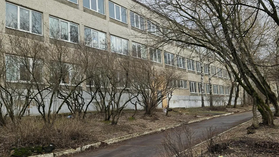 Фото: Ольга Вельшикаева