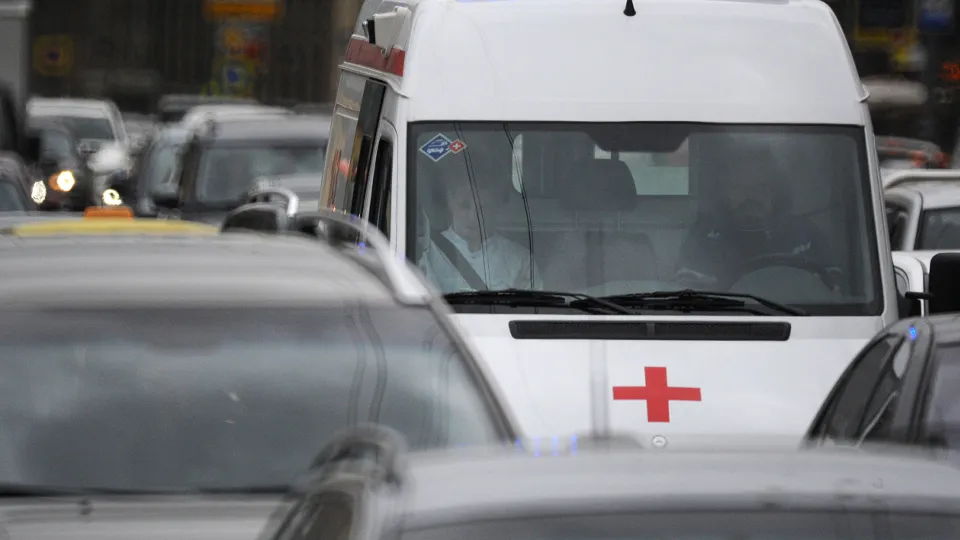 Фото: Медиаархив Подмосковья