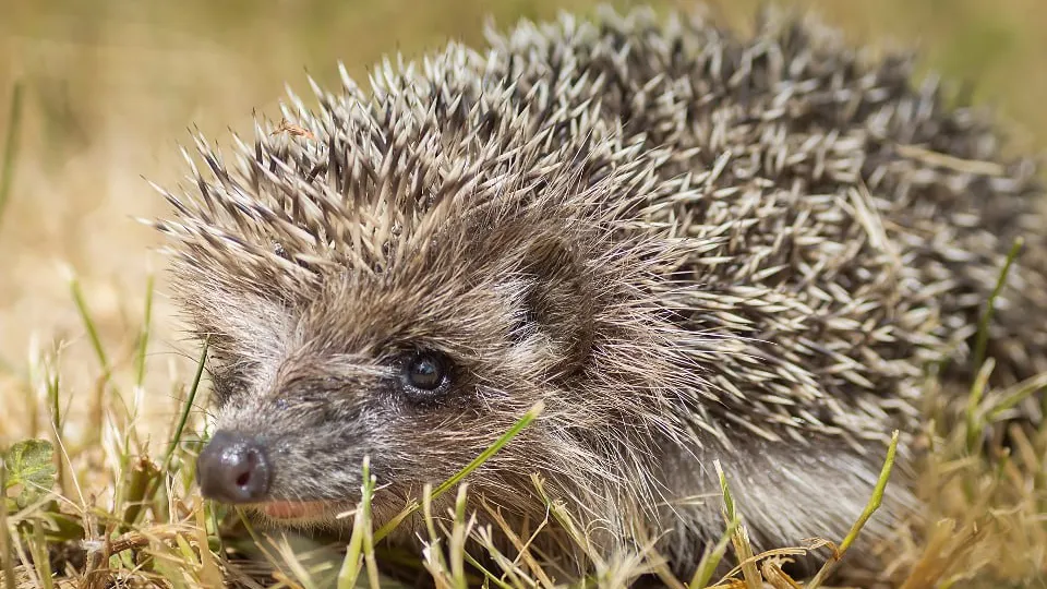 Фото: istockphoto.com