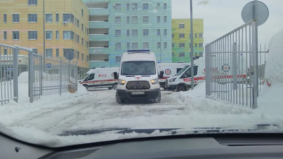 Фото: t.me/yrovsg