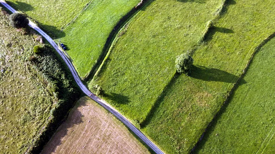 Фото: freepik.com