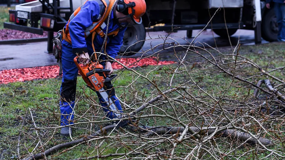 Фото: Медиаархив Подмосковья